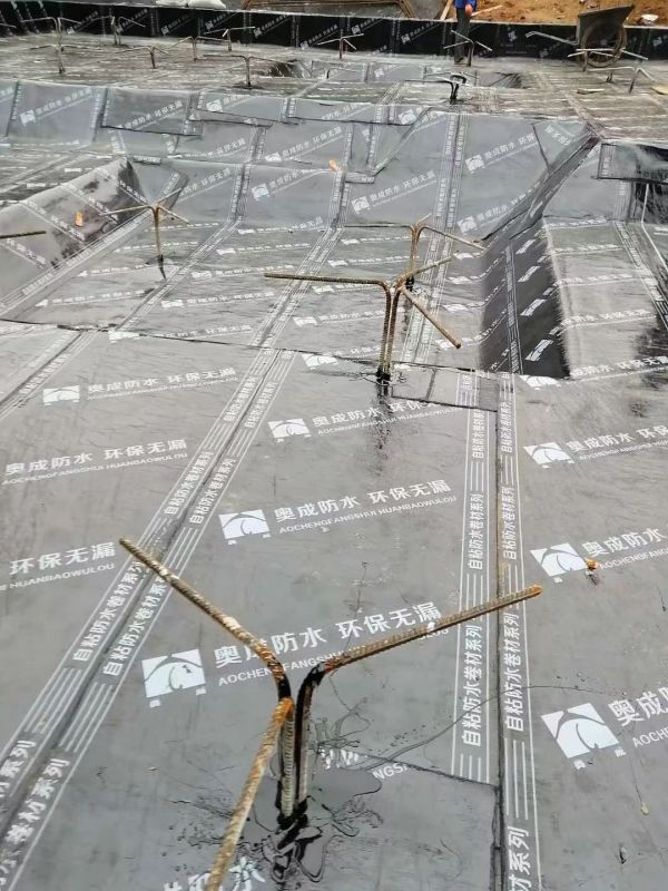 奥成防水卷材系列,奥成防水涂料系列,奥成自粘橡胶沥青防水卷材,醴陵市奥成防水材料有限公司